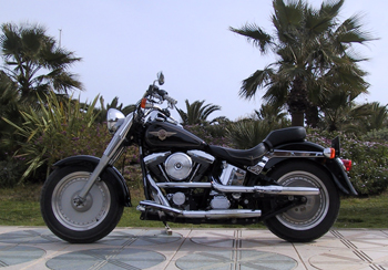 Harley Davidson on Paseo Maritimo Ibiza